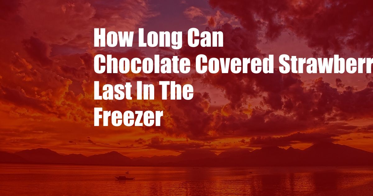 How Long Can Chocolate Covered Strawberries Last In The Freezer