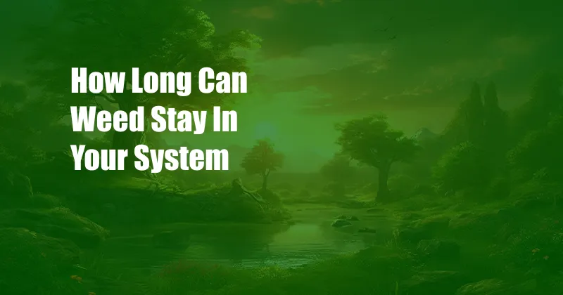 How Long Can Weed Stay In Your System 