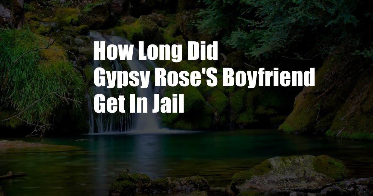 How Long Did Gypsy Rose'S Boyfriend Get In Jail