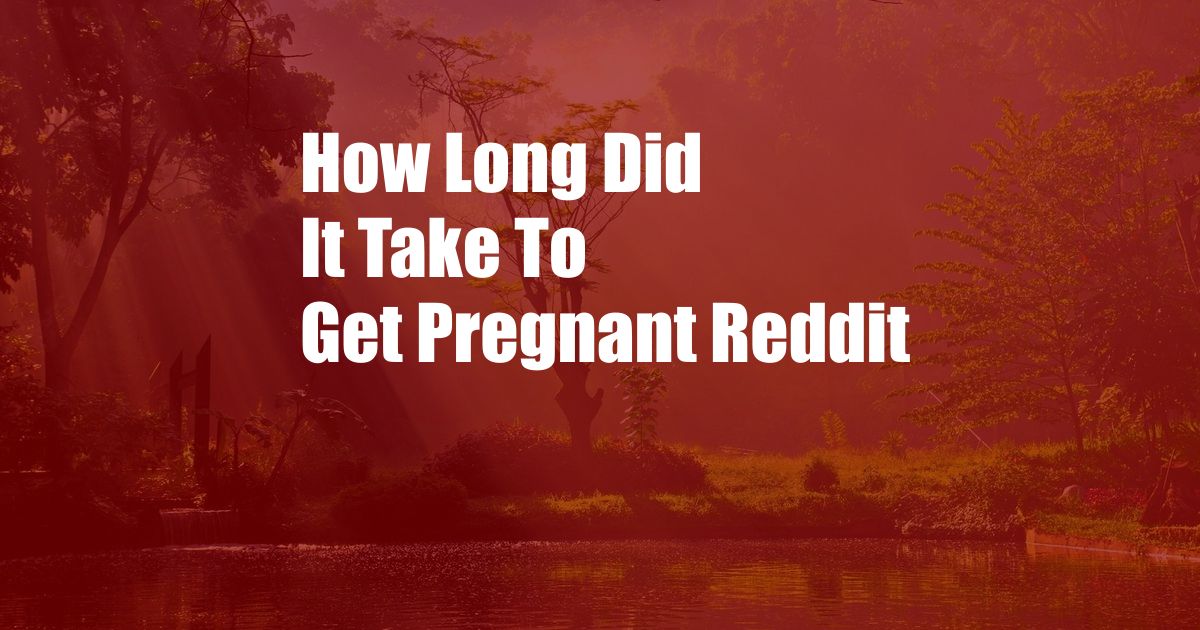 How Long Did It Take To Get Pregnant Reddit