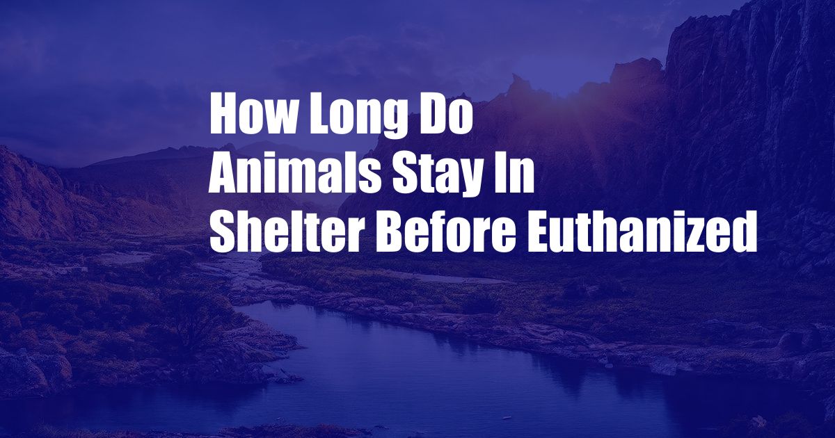 How Long Do Animals Stay In Shelter Before Euthanized