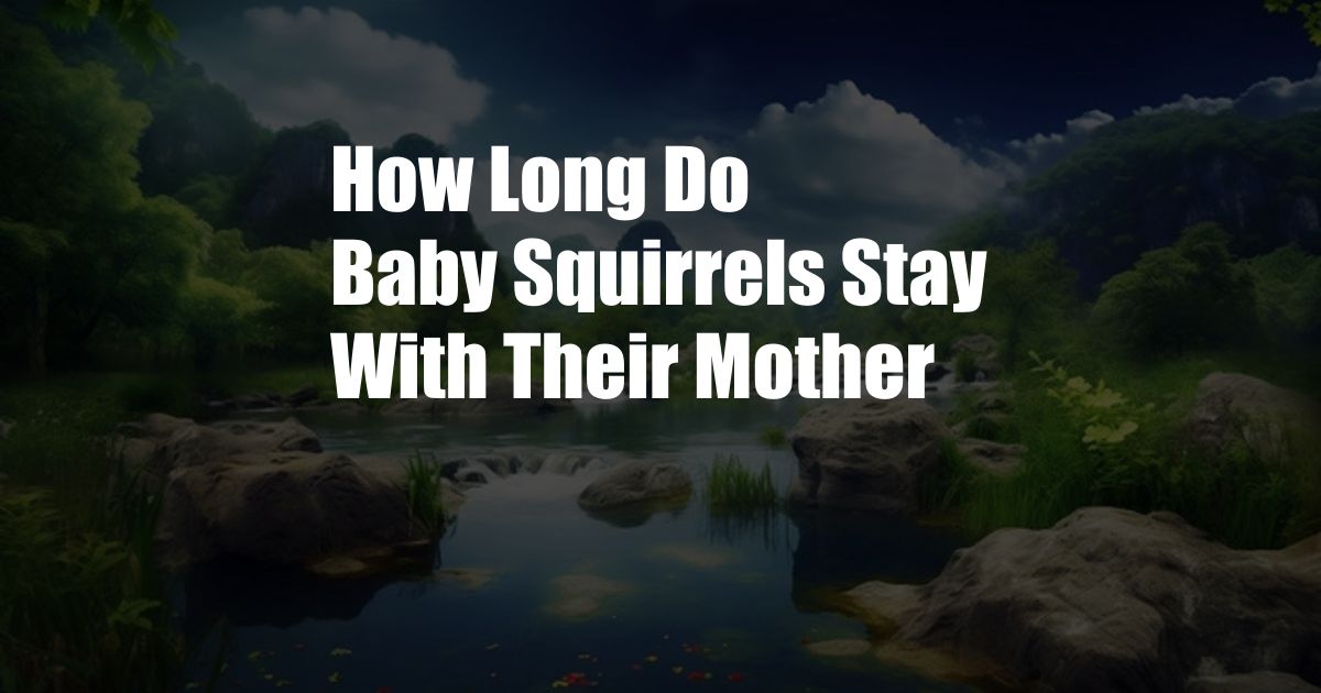 How Long Do Baby Squirrels Stay With Their Mother