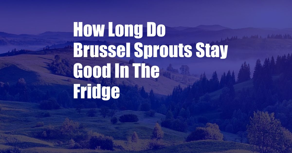 How Long Do Brussel Sprouts Stay Good In The Fridge