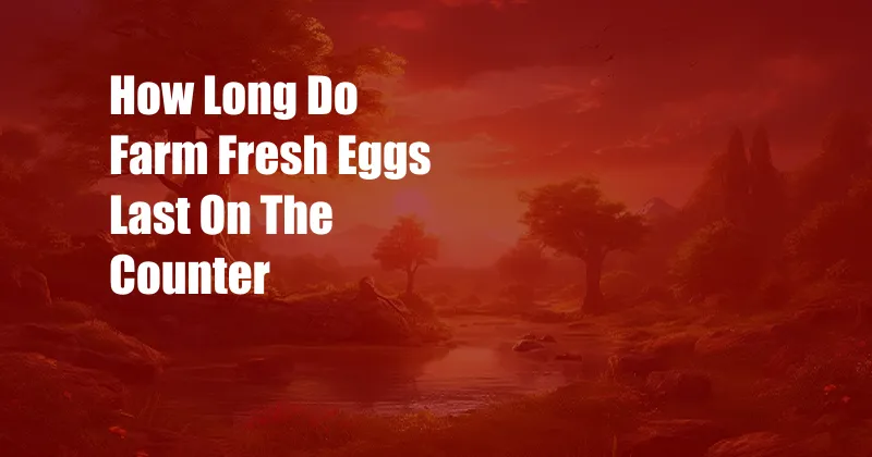 How Long Do Farm Fresh Eggs Last On The Counter