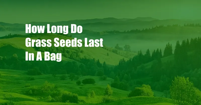 How Long Do Grass Seeds Last In A Bag