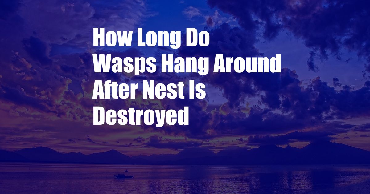 How Long Do Wasps Hang Around After Nest Is Destroyed