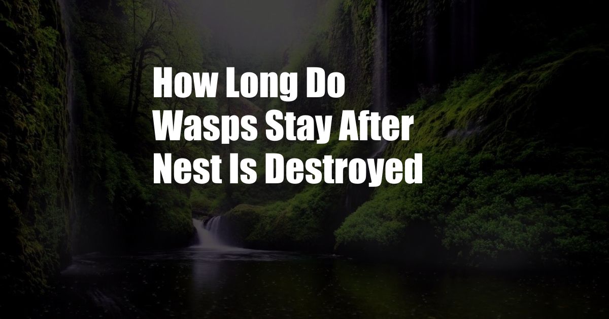 How Long Do Wasps Stay After Nest Is Destroyed