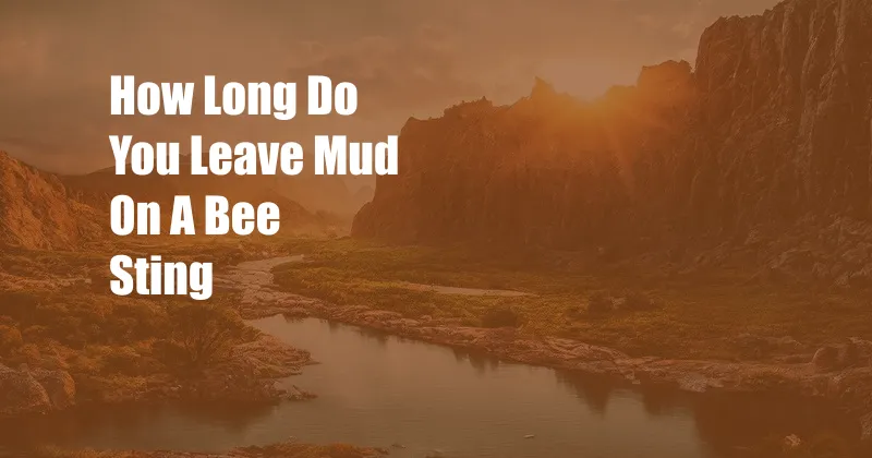 How Long Do You Leave Mud On A Bee Sting