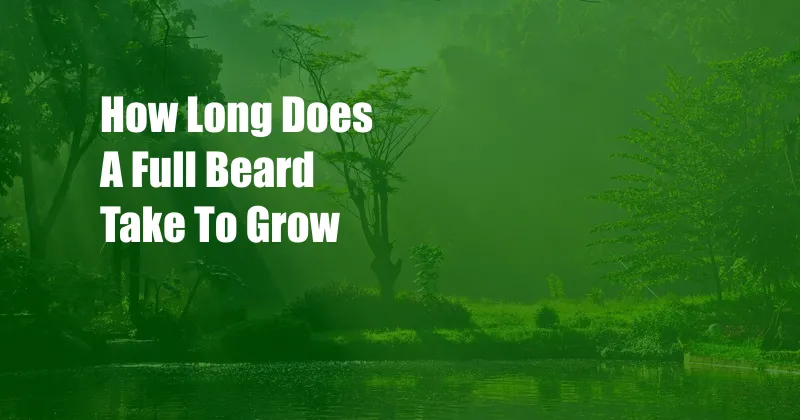 How Long Does A Full Beard Take To Grow