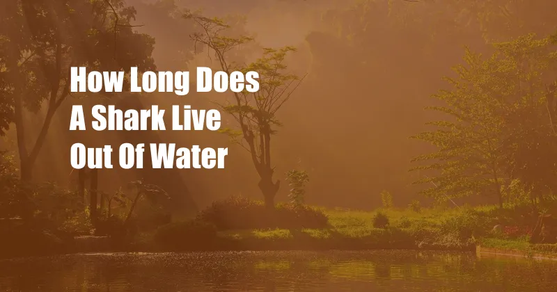 How Long Does A Shark Live Out Of Water