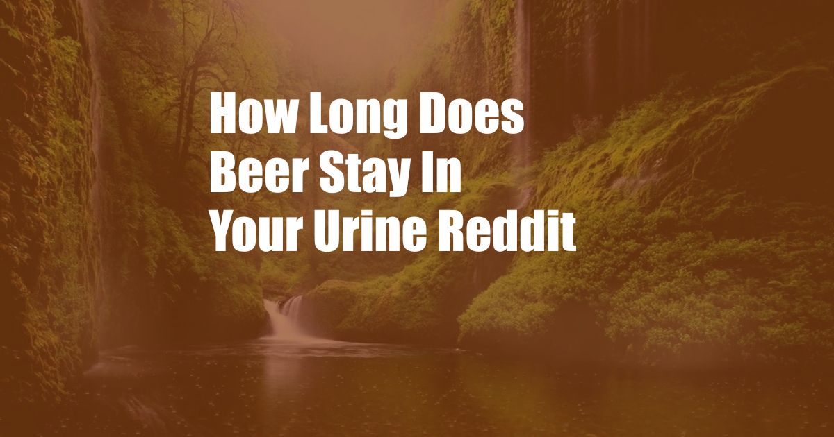 How Long Does Beer Stay In Your Urine Reddit