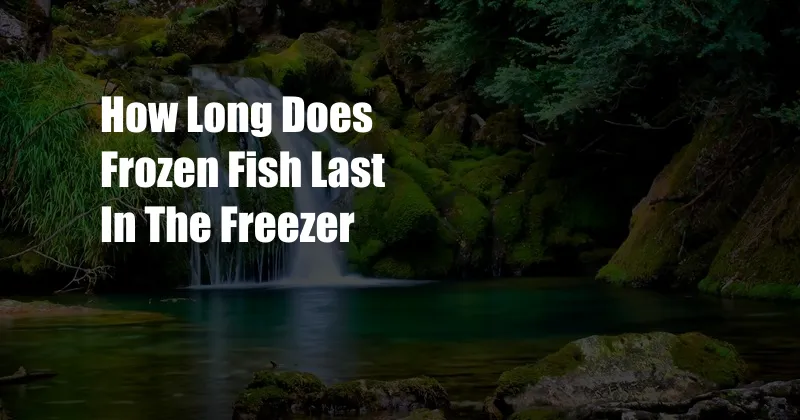 How Long Does Frozen Fish Last In The Freezer