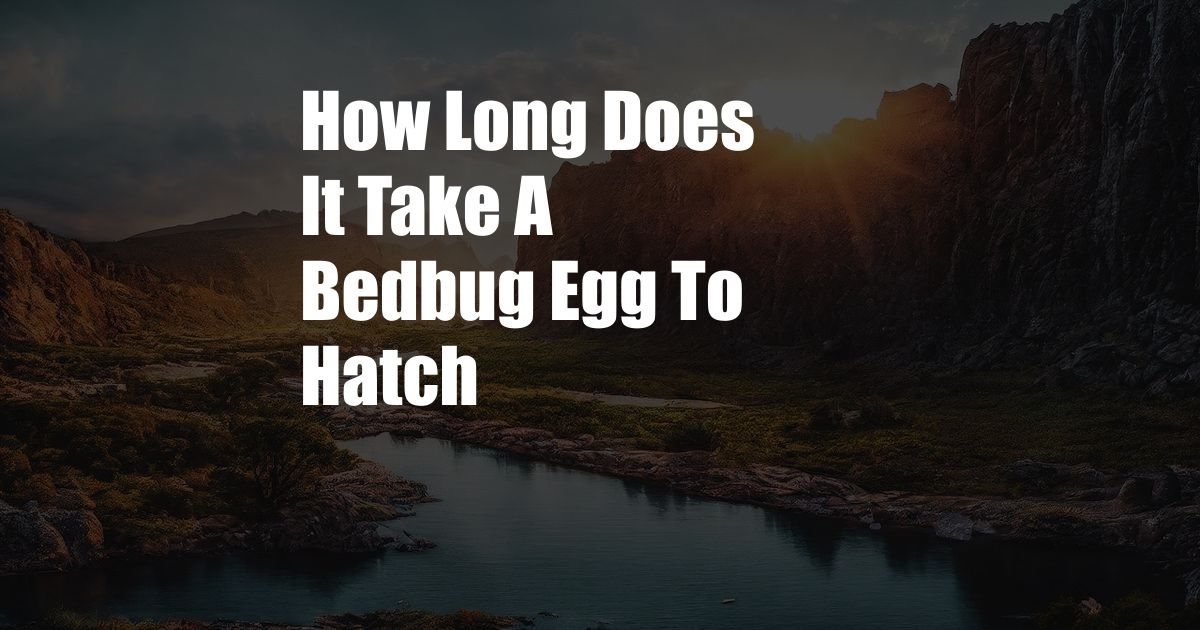 How Long Does It Take A Bedbug Egg To Hatch