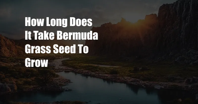 How Long Does It Take Bermuda Grass Seed To Grow