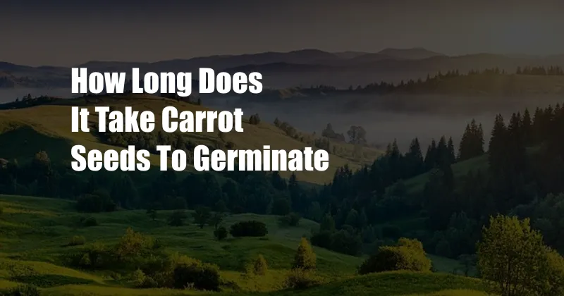 How Long Does It Take Carrot Seeds To Germinate