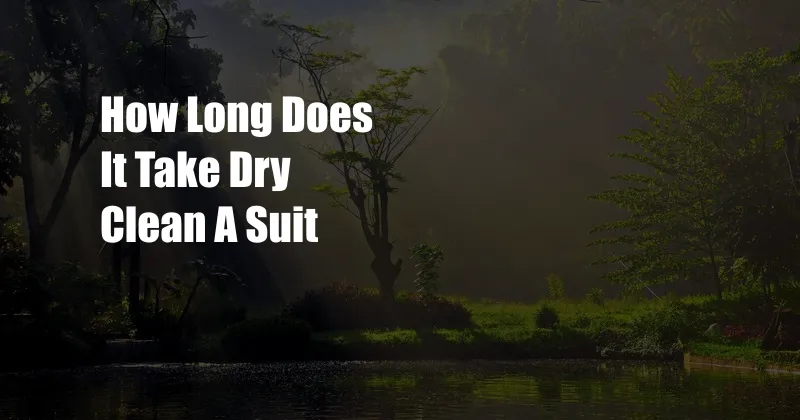 How Long Does It Take Dry Clean A Suit