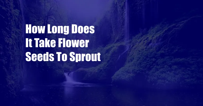 How Long Does It Take Flower Seeds To Sprout