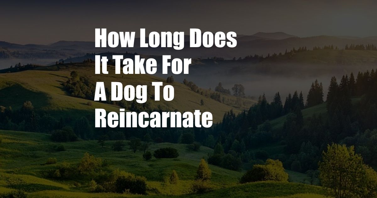 How Long Does It Take For A Dog To Reincarnate