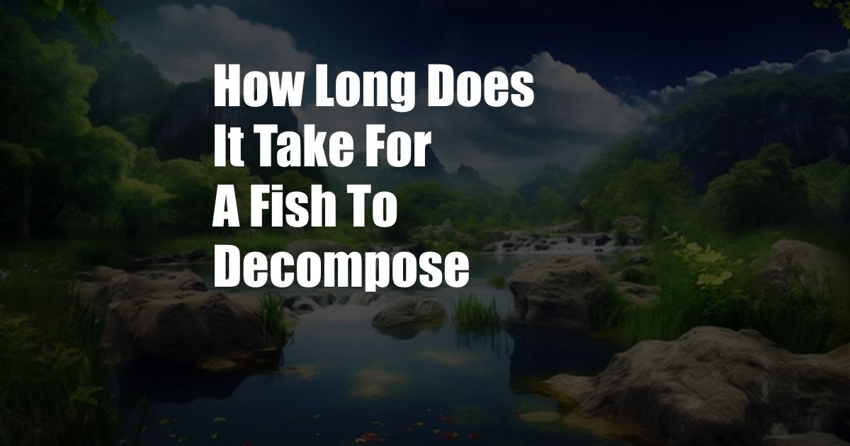 How Long Does It Take For A Fish To Decompose