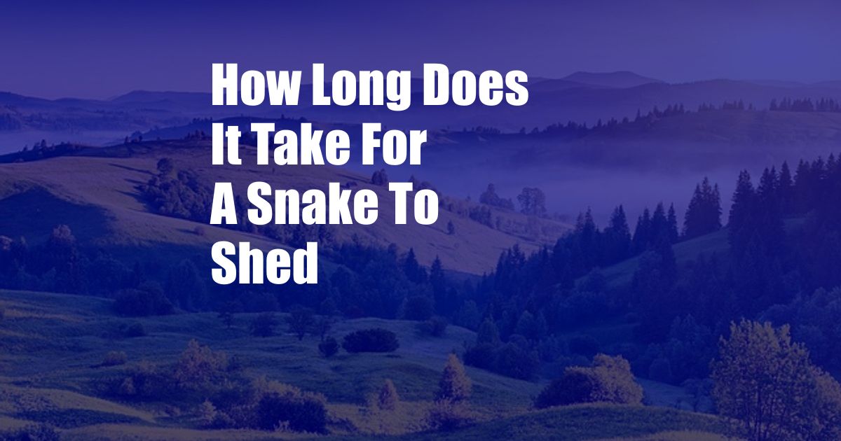 How Long Does It Take For A Snake To Shed