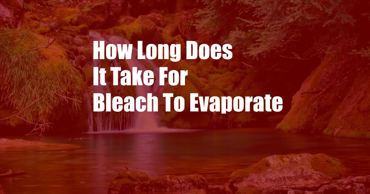 How Long Does It Take For Bleach To Evaporate