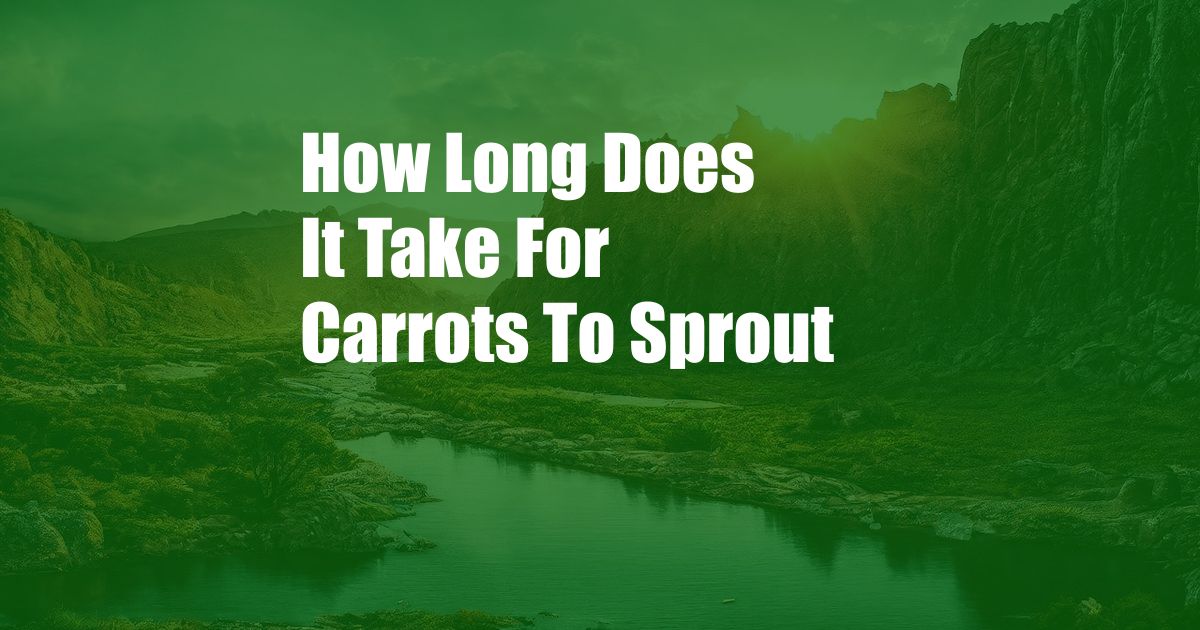 How Long Does It Take For Carrots To Sprout