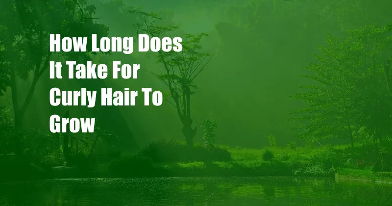 How Long Does It Take For Curly Hair To Grow