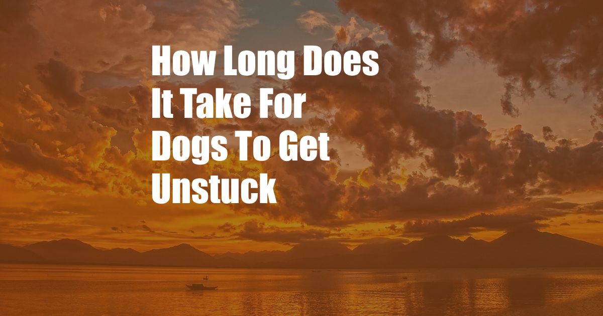 How Long Does It Take For Dogs To Get Unstuck