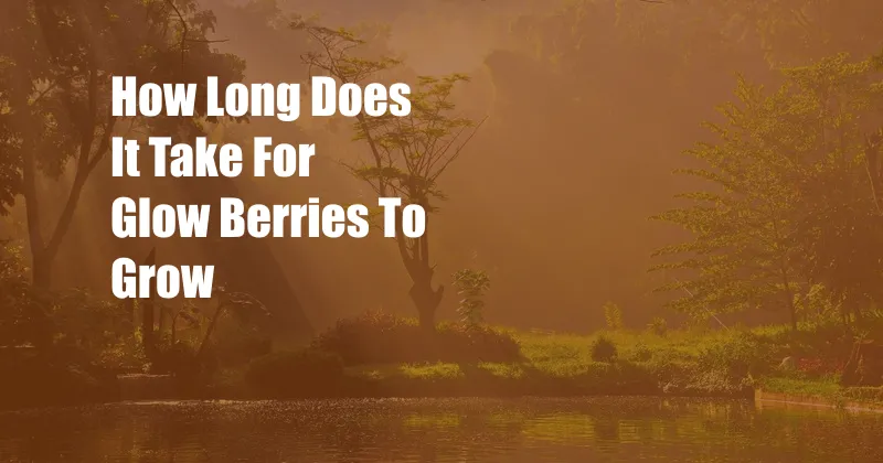 How Long Does It Take For Glow Berries To Grow