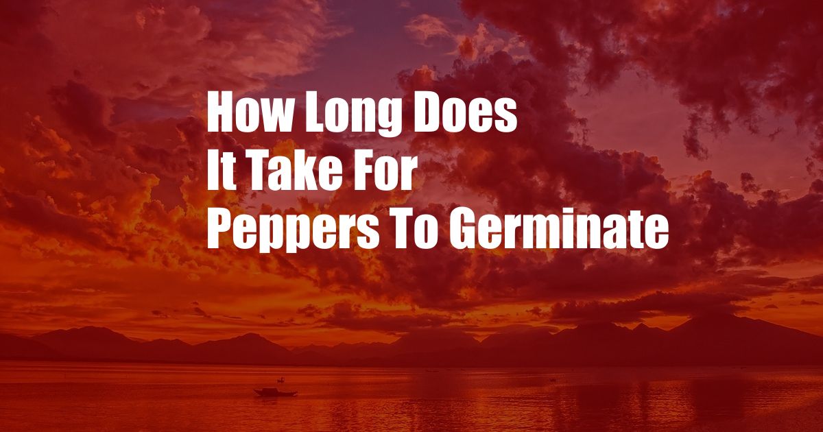 How Long Does It Take For Peppers To Germinate