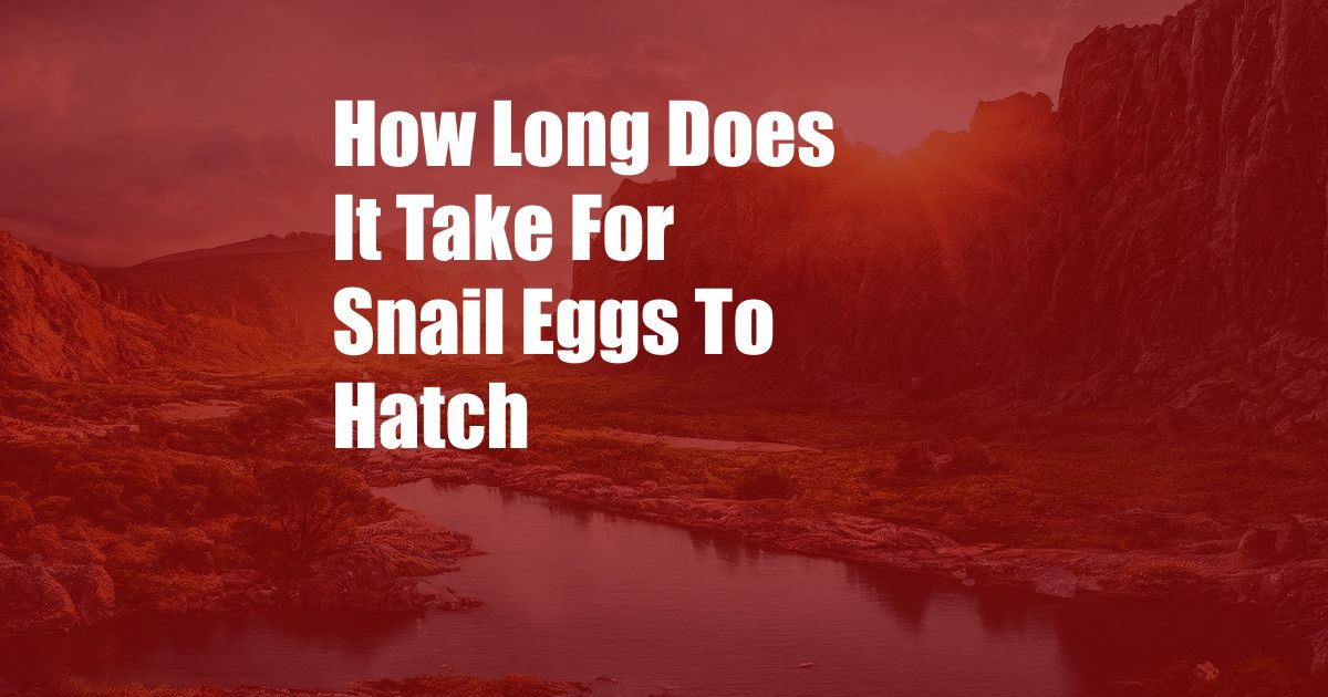 How Long Does It Take For Snail Eggs To Hatch