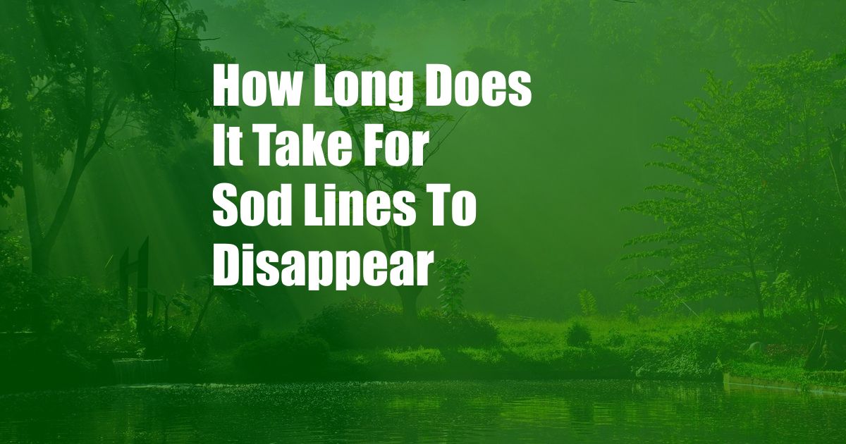 How Long Does It Take For Sod Lines To Disappear