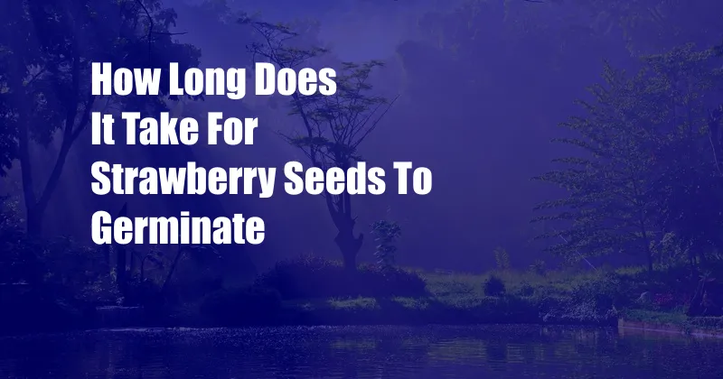 How Long Does It Take For Strawberry Seeds To Germinate