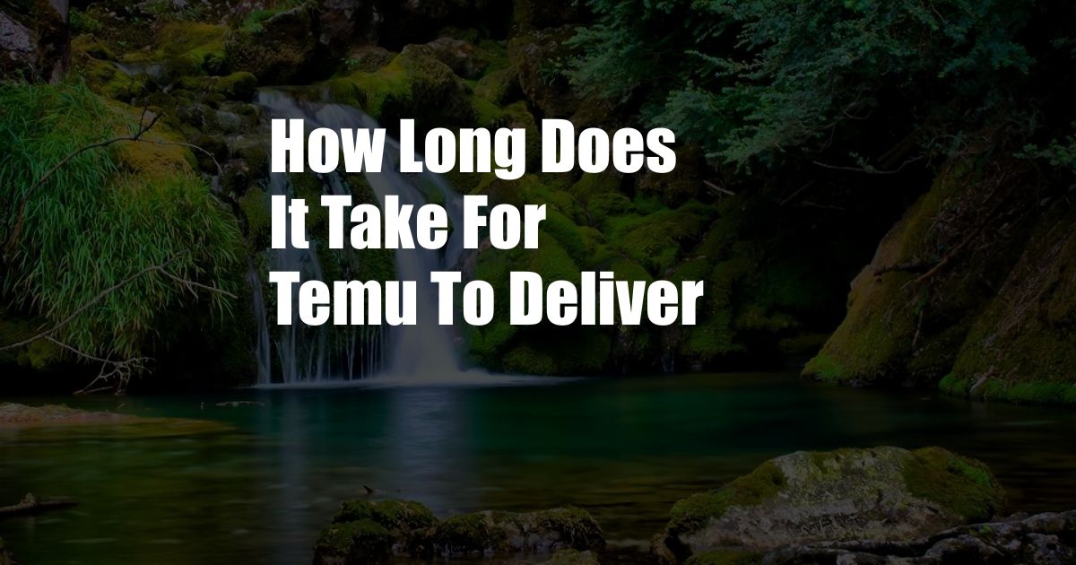 How Long Does It Take For Temu To Deliver