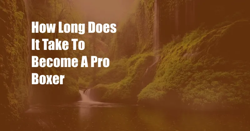 How Long Does It Take To Become A Pro Boxer