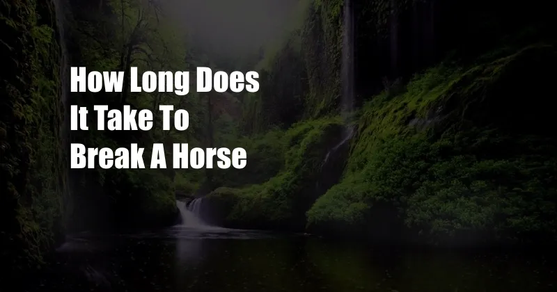 How Long Does It Take To Break A Horse