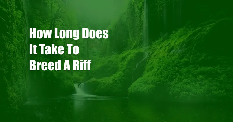 How Long Does It Take To Breed A Riff