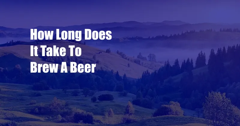 How Long Does It Take To Brew A Beer