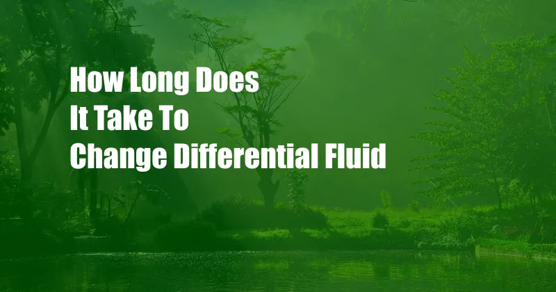 How Long Does It Take To Change Differential Fluid