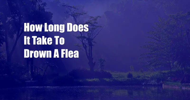 How Long Does It Take To Drown A Flea