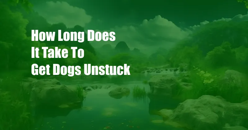 How Long Does It Take To Get Dogs Unstuck