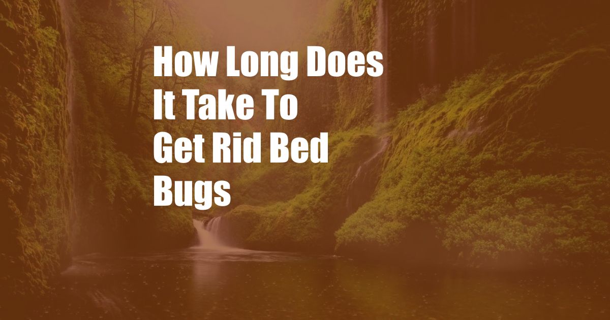 How Long Does It Take To Get Rid Bed Bugs