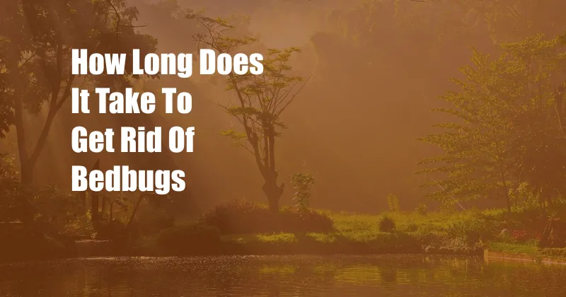 How Long Does It Take To Get Rid Of Bedbugs