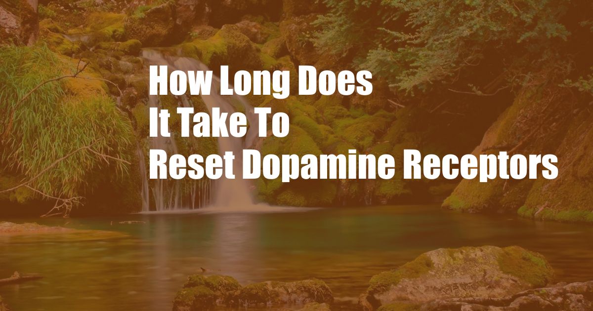 How Long Does It Take To Reset Dopamine Receptors