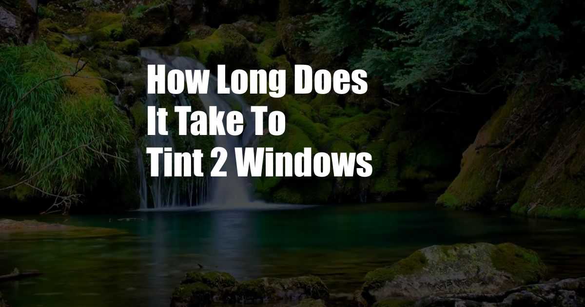 How Long Does It Take To Tint 2 Windows