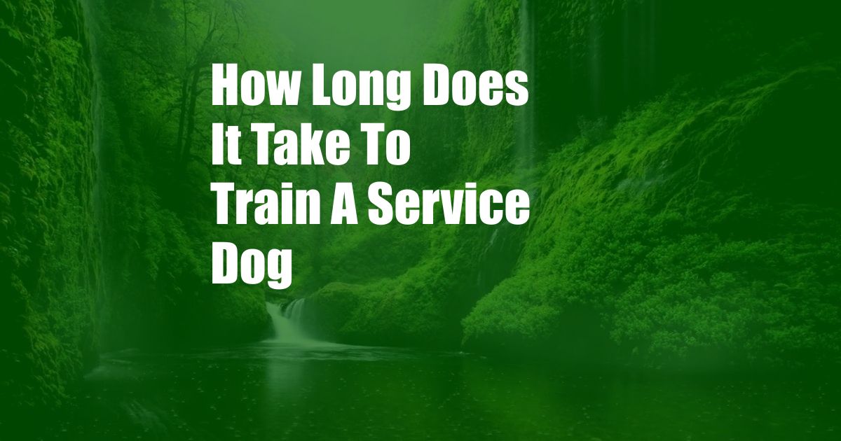 How Long Does It Take To Train A Service Dog