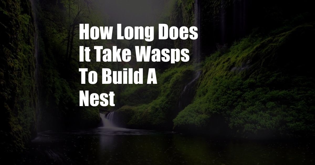 How Long Does It Take Wasps To Build A Nest