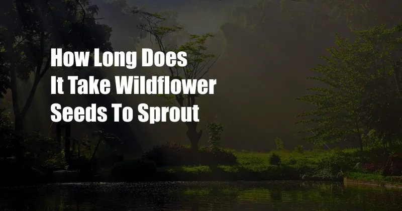 How Long Does It Take Wildflower Seeds To Sprout