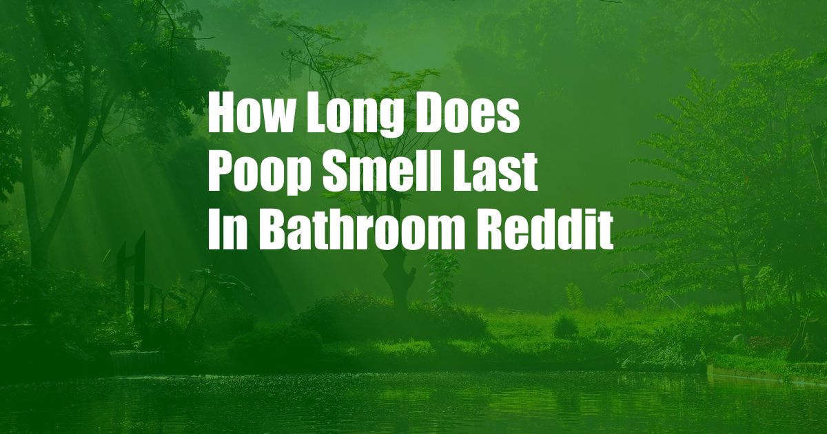 How Long Does Poop Smell Last In Bathroom Reddit