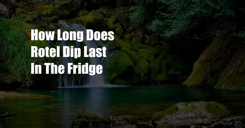 How Long Does Rotel Dip Last In The Fridge